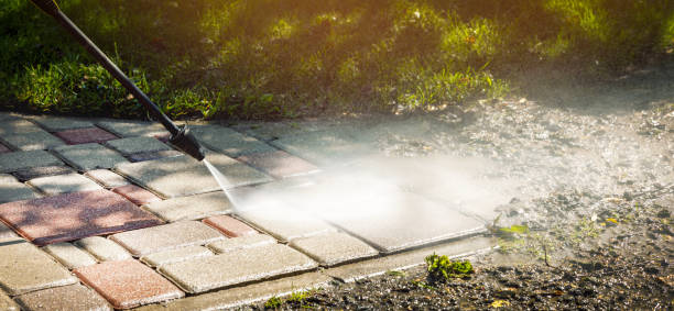 Best Solar Panel Cleaning  in Hamlin, WV