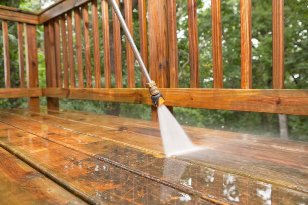 Best Fence Cleaning  in Hamlin, WV